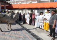 Humaspro DPRD Sulteng