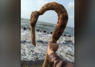 Indonesia Juara Stick Nation Wood Cup 2026