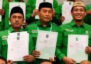 Pilwalkot Palu 2029