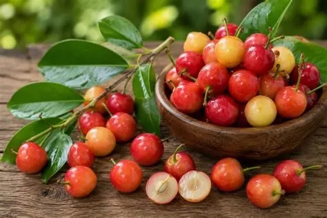 Manfaat Buah Kersen