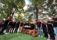New Hilux Palu