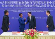 Kerja Sama Sulawesi Tengah Sichuan