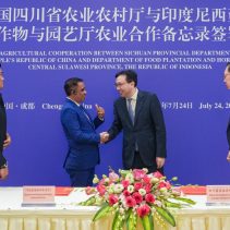 Kerja Sama Sulawesi Tengah Sichuan