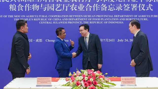 Kerja Sama Sulawesi Tengah Sichuan