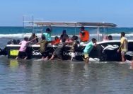Wisatawan Asing Teluk Tomini