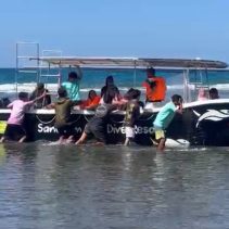 Wisatawan Asing Teluk Tomini