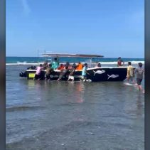 Wisatawan Asing Selamat Teluk Tomini