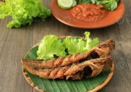 manfaat ikan lele