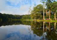 Danau Tambing