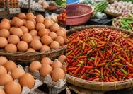 Harga Pangan Nasional