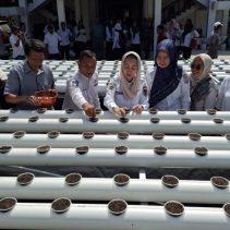 Budidaya Hidroganik Palu