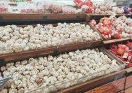 menyimpan bumbu dapur