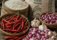 Harga Pangan Nasional