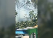 Kebakaran Hutan dan Lahan Tojo Una-una
