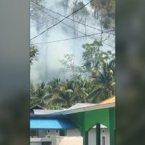 Kebakaran Hutan dan Lahan Tojo Una-una