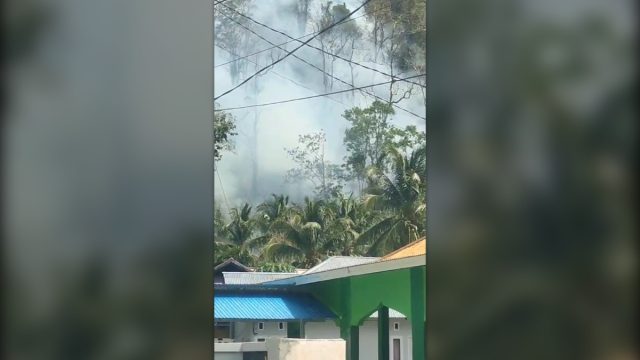Kebakaran Hutan dan Lahan Tojo Una-una