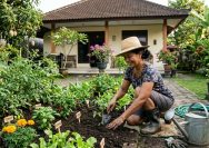 Cara Berkebun di Halaman Rumah