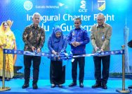 Penerbangan Internasional Palu-Guangzhou