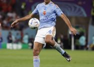 Rodri Barcelona