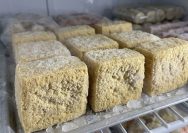 tahu beku