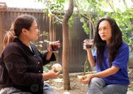 rutinitas rumah tangga