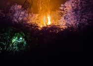 Kebakaran Lahan Tojo Una-Una