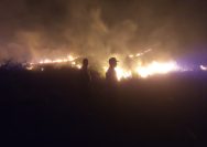 Karhutla Desa Balingara