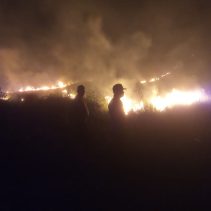Karhutla Desa Balingara
