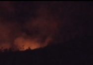 Kebakaran Hutan Longge Ampana Tete