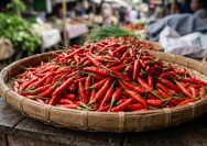 harga pangan 19 Agustus 2026