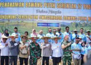 penanaman bawang putih serentak