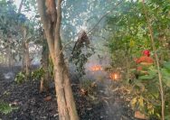 Kebakaran Hutan dan Lahan