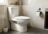 Solusi Bau Kamar Mandi