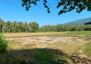 kekeringan Parigi Moutong