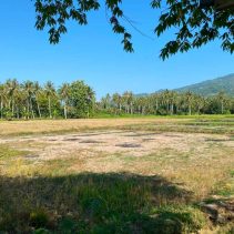 kekeringan Parigi Moutong