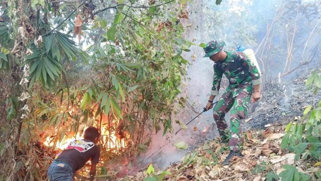 Kodam XXIII/Palaka Wira