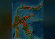 Karhutla Sulawesi Tengah
