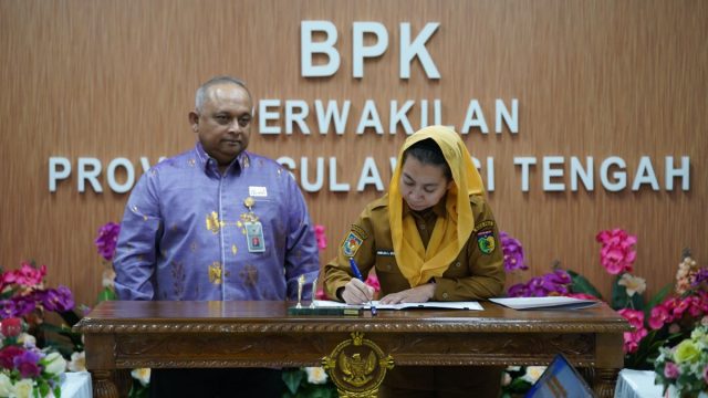 Pemeriksaan BPK Palu