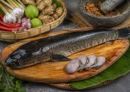 Manfaat Ikan Gabus