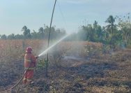 Kebakaran Lahan Tojo Una-Una
