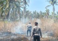 Kebakaran Hutan dan Lahan Desa Sabo