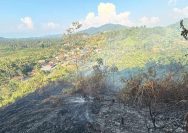 Kebakaran Hutan Tolitoli