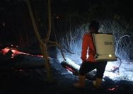 Kebakaran Hutan dan Lahan Banggai