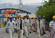 serapan tenaga kerja IMIP