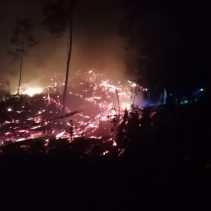 Karhutla Buol