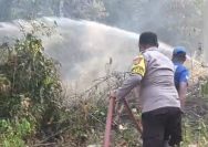 kebakaran lahan Sigi