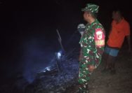 kebakaran hutan Parigi Moutong