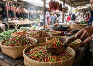 Harga Cabai Rawit Merah