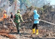 Karhutla Desa Malino Donggala
