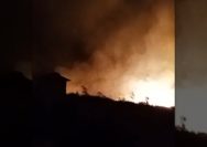 kebakaran hutan Poso